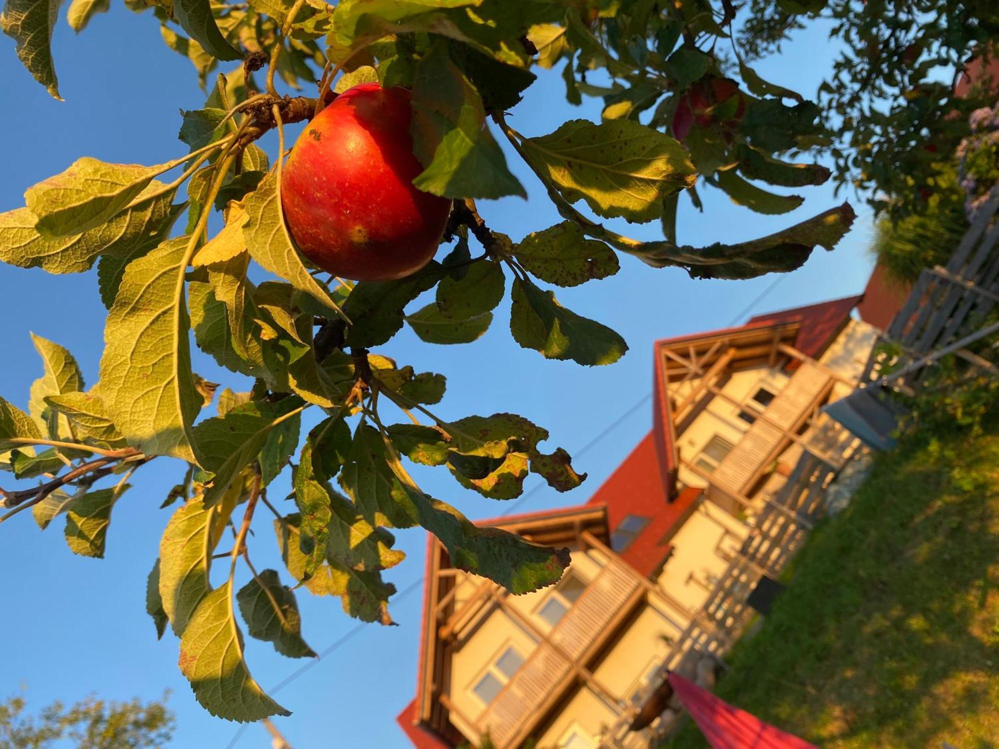 Fugger Alm Aparthotel Badafalva Kültér fotó
